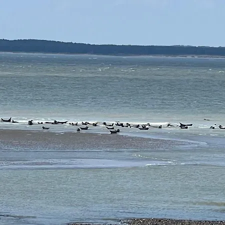 Le Rugissement Des Vagues
